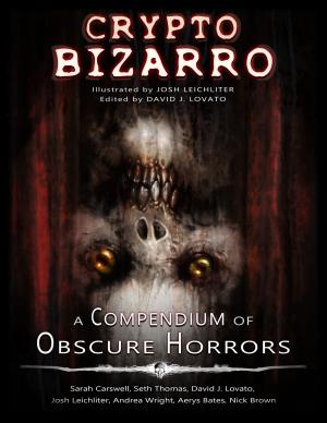 Cover of the book Crypto Bizarro by Amy Fleming