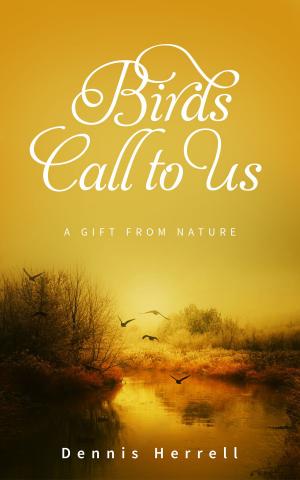 Cover of the book Birds Call to Us by Masaaki Kimura