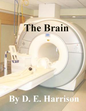 Cover of the book The Brain by Dawn Carrington