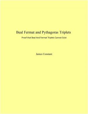 Book cover of Beal Fermat and Pythagoras Triplets