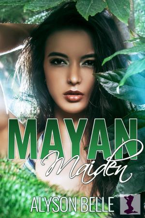 Book cover of Mayan Maiden
