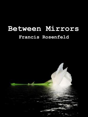 bigCover of the book Between Mirrors by 
