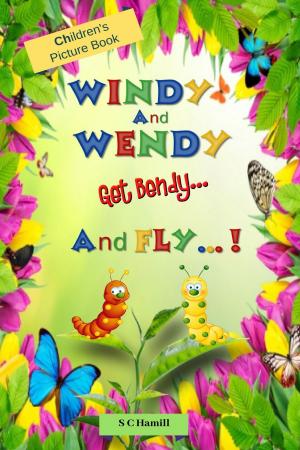Book cover of Windy and Wendy get Bendy and Fly! Children's Picture Book.