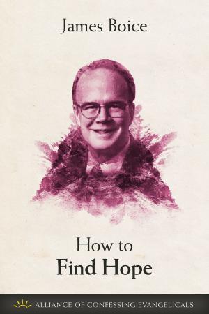 Cover of the book How to Find Hope by James Boice