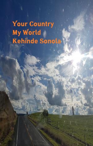 Book cover of Your Country My World