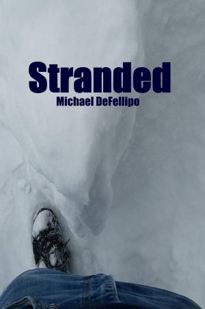 Cover of the book Stranded by Anthony Luc DOUZET