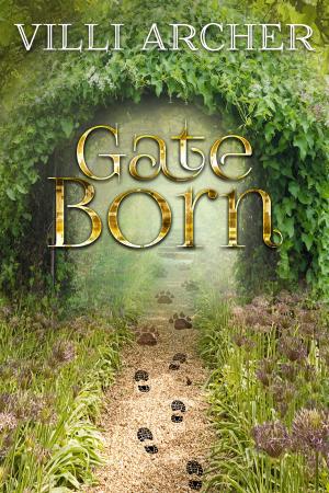 Cover of the book Gate Born by Mike Kilroy