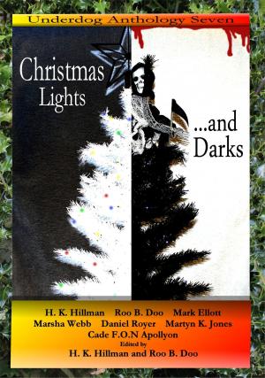 Book cover of Christmas Lights... and Darks