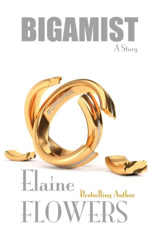 Book cover of Bigamist: A Story