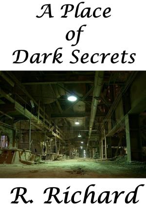 Book cover of A Place of Dark Secrets