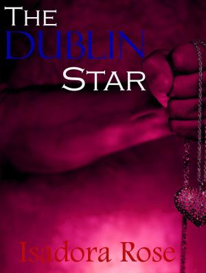 Book cover of The Dublin Star