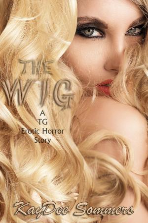 Cover of the book The Wig by Isla Sinclair