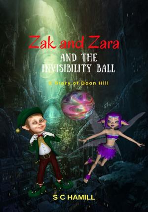 Book cover of Zak and Zara and the Invisibility Ball. A Story of Doon Hill.