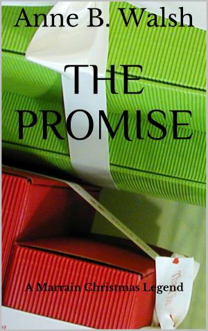 Cover of the book The Promise by Anders Flagstad