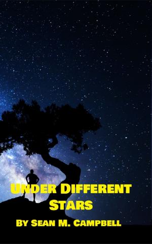 Book cover of Under Different Stars