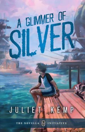 Book cover of A Glimmer Of Silver