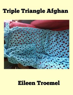 Book cover of Triple Triangle Afghan