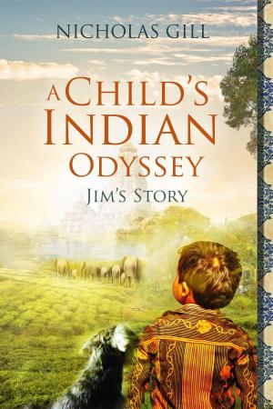 Cover of A Child's Indian Odyssey.
