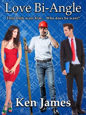 bigCover of the book Love Bi-Angle: An Erotic Bisexual Three-Way Romance by 