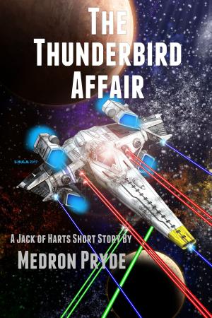 Cover of the book The Thunderbird Affair (Jack of Harts Short Story 2) by Steff Metal