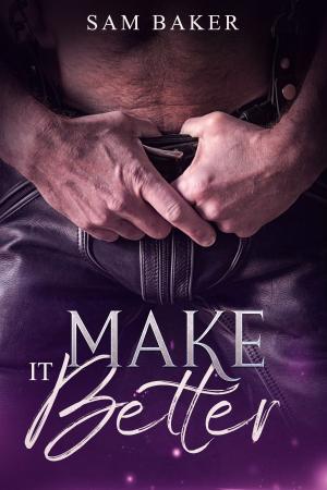 Cover of the book Make it Better by Anna Fock