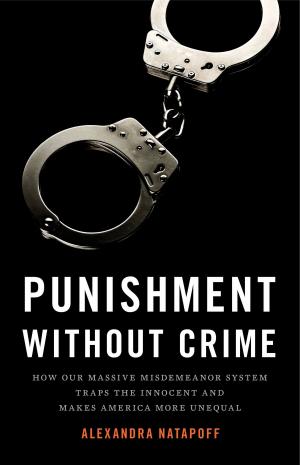 Cover of the book Punishment Without Crime by Ian Stewart