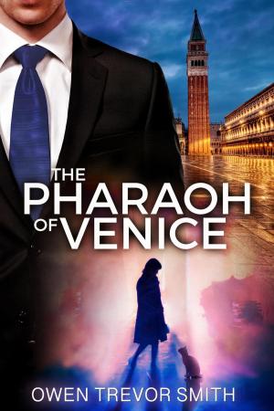 Cover of the book The Pharaoh of Venice by K.B. Spangler
