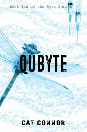 Cover of the book Qubyte by K.M. Spires
