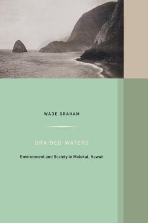 Cover of the book Braided Waters by João Biehl