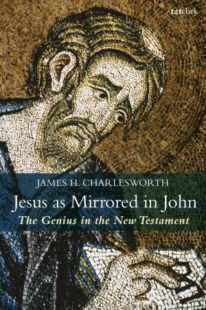 Book cover of Jesus as Mirrored in John
