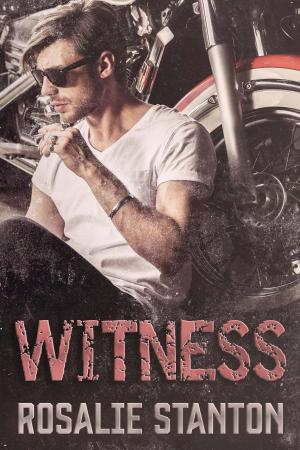Cover of the book Witness by Vivienne Savage