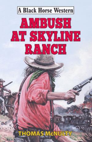 Cover of the book Ambush at Skyline Ranch by Emmett Stone