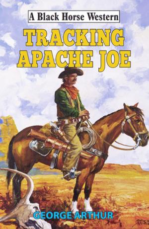 Cover of the book Tracking Apache Joe by Edwin Derek