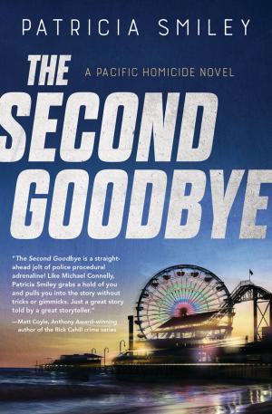 Book cover of The Second Goodbye