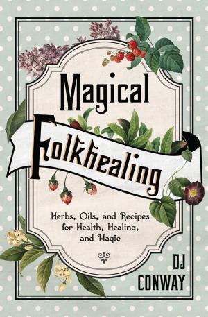 Cover of the book Magical Folkhealing by Danielle MacKinnon