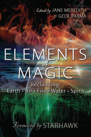 Book cover of Elements of Magic