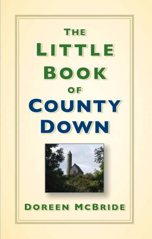 Cover of the book The Little Book of County Down by John Engle