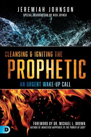 Book cover of Cleansing and Igniting the Prophetic