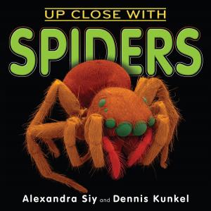 Cover of the book Up Close With Spiders by David A. Adler