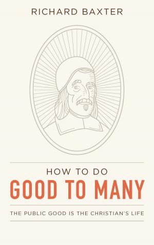Cover of the book How to Do Good to Many: The Public Good Is the Christian’s Life by Jordan Ballor, Robert Joustra