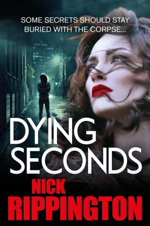 Cover of the book Dying Seconds by Alan Eysen