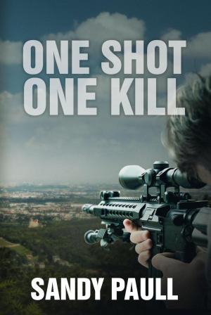 Cover of the book One Shot One Kill by Stephen Booth