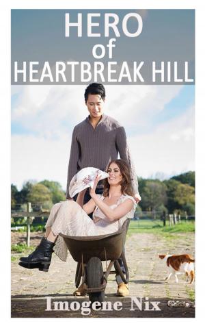 Book cover of Hero of Heartbreak Hill