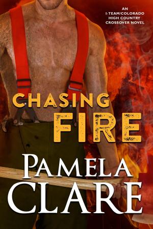 bigCover of the book Chasing Fire by 