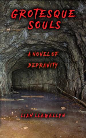 Cover of the book Grotesque Souls by Liam Llewellyn