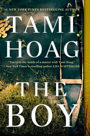 Cover of the book The Boy by Diane Smith