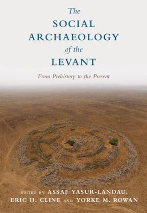 Cover of the book The Social Archaeology of the Levant by Kate Nash