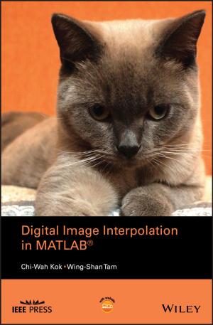 Cover of the book Digital Image Interpolation in Matlab by Antoni Bayés de Luna