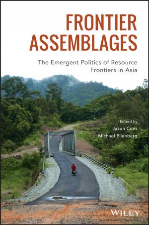 Cover of the book Frontier Assemblages by Jon Gregory