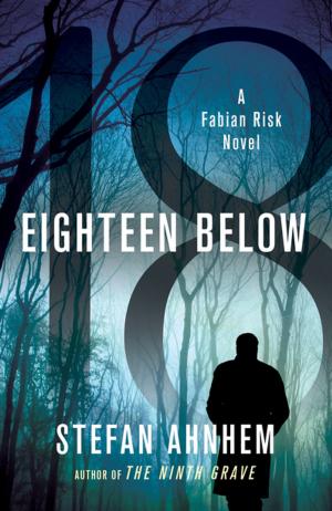 Book cover of Eighteen Below